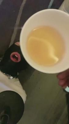 【C皇】白领黑丝恋足调 bf10302