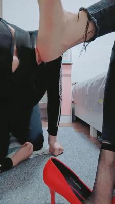 【bibi】酸臭丝袜脚是狗狗的最爱 bf10378