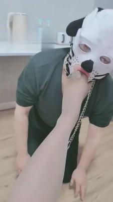 【画骨】训练狗奴各种姿势 bf10328