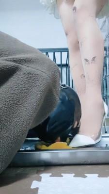 【睸娘】换着法子玩升水 bf10385