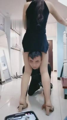 【didi】大长腿模特首调狗 bf10541