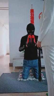 【bibi团】御姐日常玩狗 bf10625