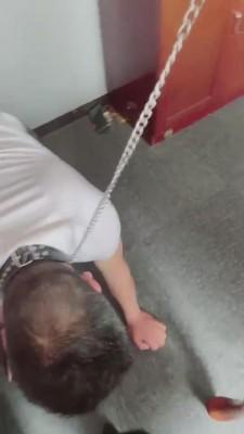 【美帝】偶然发现老板是个狗 bf10729