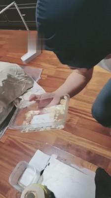 【蜘蛛女王】御姐黑丝高跟圣水泡饼干喂食 bf5309