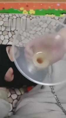 【平凡】吃饱没事就是玩家奴 bf5555