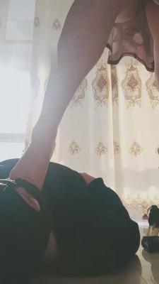 【艾丽莎】羞辱绿帽狗废物 bf5541