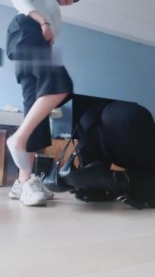 【梓晨】人形犬驯化全过程实录 bf1408