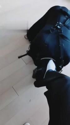 【梓晨】人形犬驯化全过程实录 bf1408