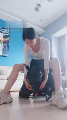 【梓晨】人形犬驯化全过程实录 bf1408