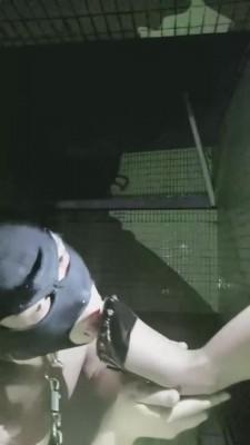 【银河】女王制服深夜户外诱惑遛狗 bf2003