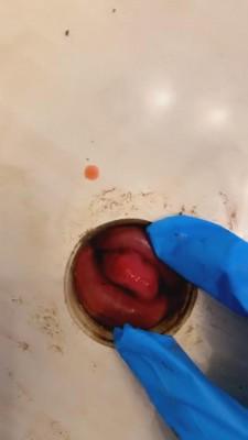 【茹雪】近距离虐狗嘴狗舌头 bf2340