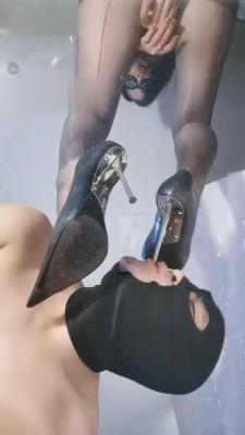 【叶子天津】家畜日常吃狗食 bf2439