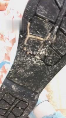 【兔粉粉】在狗子身上碾压饼干 bf2591