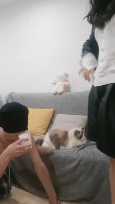 【安静S】继母无下限羞辱狗儿子 bf2809