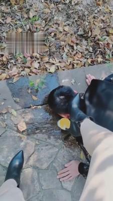 【魅影女神】河边野外虐贱狗【续集】 bf3367