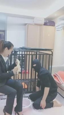 【依然】圈养的第一天 bf2875