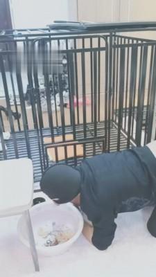 【依然】圈养的第一天 bf2875