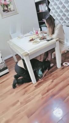 【梦幻大大】心机后妈日常刁难儿子儿媳 bf2831