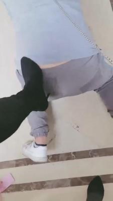 【美柠】电梯口前遛狗 bf3095