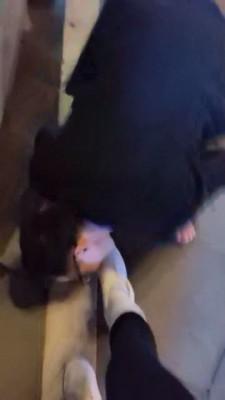 【虞姬的狗】给素人美女舔鞋磕头 bf3260