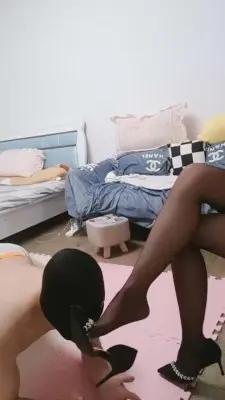 【辉夜大大】黑丝御姐首调狗 G-210715-8