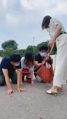 【茹雪】推荐群调-户外遛狗-骑马比赛 G-210719-19