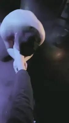 【大成】众人围观-酒吧素人S群调 G-210724-16