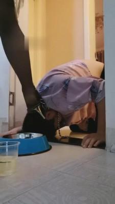 【傲雪】圈养奴卑微吃狗粮 G-210803-20