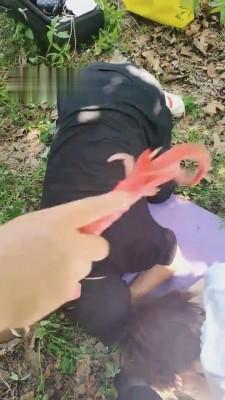 【乐爷】双S-野外把狗吊起来虐 G-210802-31