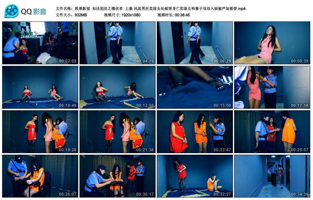 【胜景影视】知法犯法之潜伏者 上集