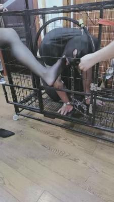 【雪瑶大大】贱狗快到笼里来【双视角版】 bf15806