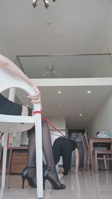 【多多】体能训练/生活化玩 bf15850