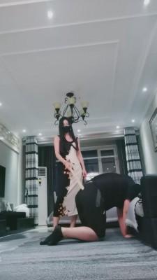 【猫神大人】打到狗写个服子为止 bf15920