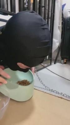 【樱桃大大】笼子里的家奴 bf16046