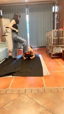 【绯闻王妃】铁笼圈养吃脏东西 bf16127