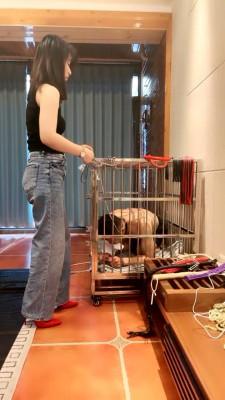 【绯闻王妃】铁笼圈养吃脏东西 bf16127