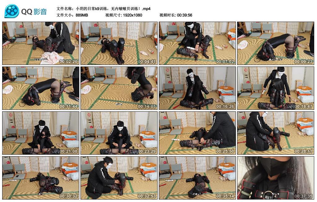 小玥的日常k9训练，无内啵啵贝训练！