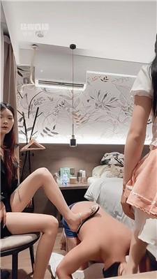 【丸子】双S姐妹花玩香港狗【双视角版】 JS251228-44