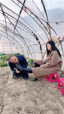 【可可夫妻】户外犬化人形犬 JS251116-19