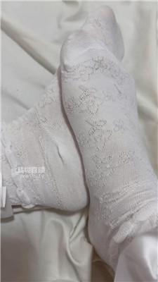 【杪杪】乱数倒计时    251112-17