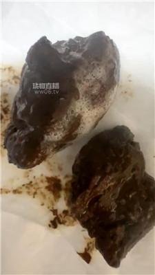 【酒鸽】开发鞋下奴吃黄金    251116-2