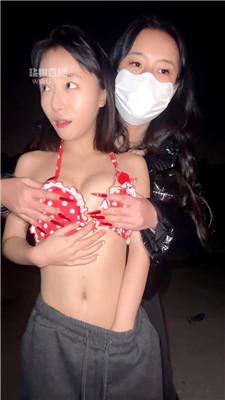 【佳禾小妈】双S-车内+户外玩狗 JS251207-35