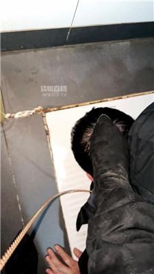 【水晶熊】户外公共场所舔马桶的 bf59644