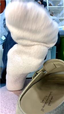 【苒苒】厚棉袜勃肯拖鞋炸    251201-18