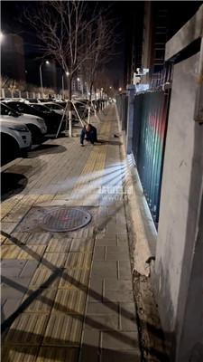 【心一】户外遛狗 JS251126-32